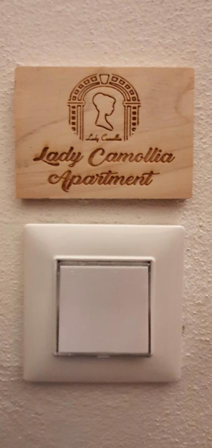 Lady Camollia Apartment Siena Exterior foto